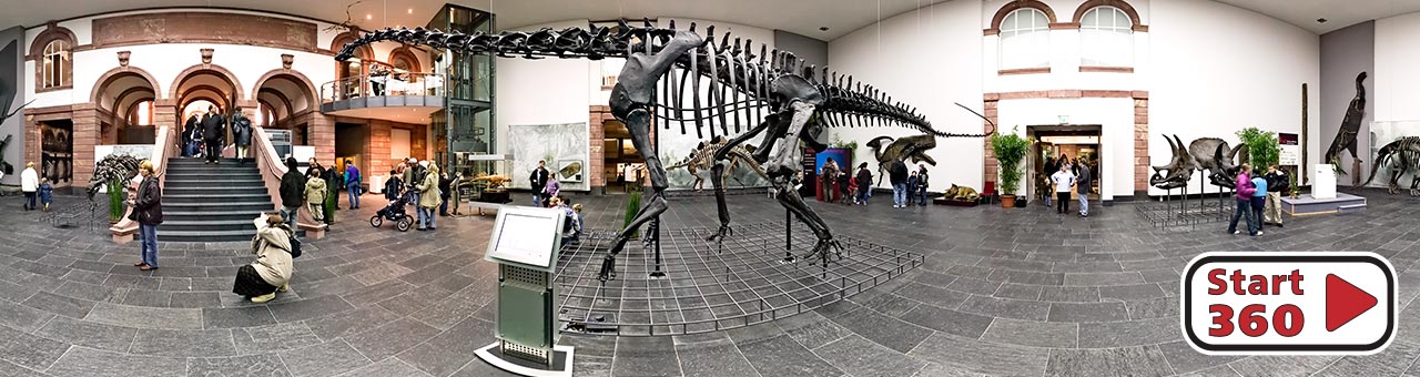 Senckenberg Naturmuseum Saal der Dinosaurier